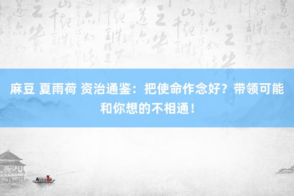麻豆 夏雨荷 资治通鉴:把使命作念好?带领可能和你想的不相通!
