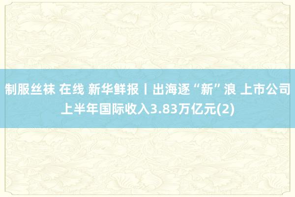 制服丝袜 在线 新华鲜报丨出海逐“新”浪 上市公司上半年国际收入3.83万亿元(2)