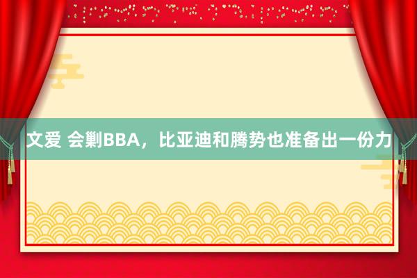 文爱 会剿BBA，比亚迪和腾势也准备出一份力