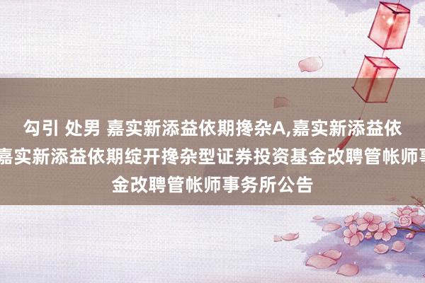 勾引 处男 嘉实新添益依期搀杂A,嘉实新添益依期搀杂C: 嘉实新添益依期绽开搀杂型证券投资基金改聘管帐师事务所公告