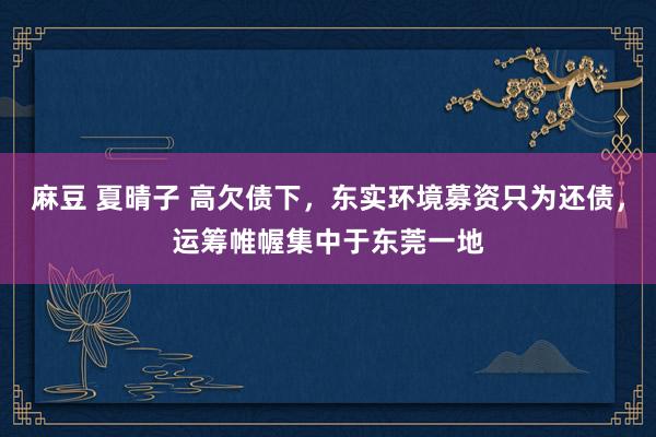 麻豆 夏晴子 高欠债下，东实环境募资只为还债，运筹帷幄集中于东莞一地