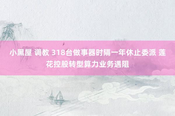 小黑屋 调教 318台做事器时隔一年休止委派 莲花控股转型算力业务遇阻