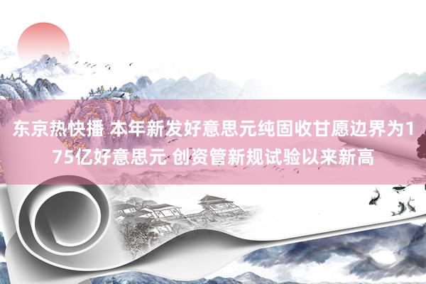 东京热快播 本年新发好意思元纯固收甘愿边界为175亿好意思元 创资管新规试验以来新高