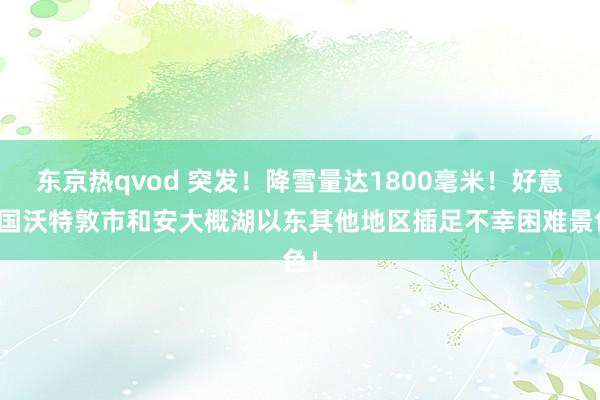 东京热qvod 突发！降雪量达1800毫米！好意思国沃特敦市和安大概湖以东其他地区插足不幸困难景色！