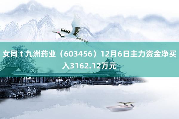 女同 t 九洲药业（603456）12月6日主力资金净买入3162.12万元