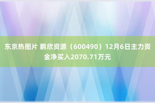 东京热图片 鹏欣资源（600490）12月6日主力资金净买入2070.71万元