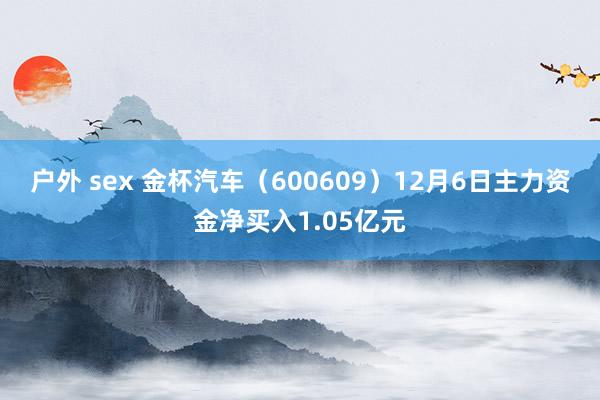 户外 sex 金杯汽车（600609）12月6日主力资金净买入1.05亿元
