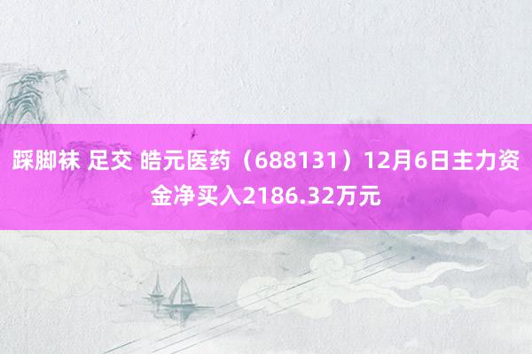 踩脚袜 足交 皓元医药（688131）12月6日主力资金净买入2186.32万元