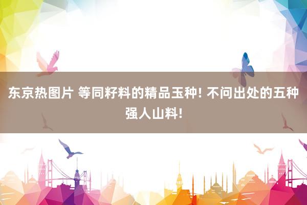 东京热图片 等同籽料的精品玉种! 不问出处的五种强人山料!