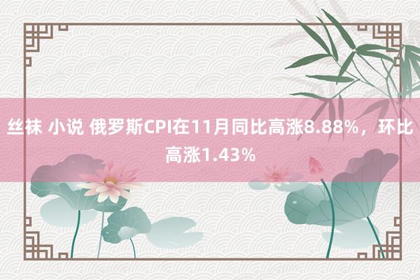 丝袜 小说 俄罗斯CPI在11月同比高涨8.88%，环比高涨1.43%