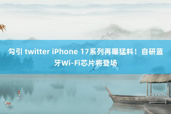 勾引 twitter iPhone 17系列再曝猛料！自研蓝牙Wi-Fi芯片将登场