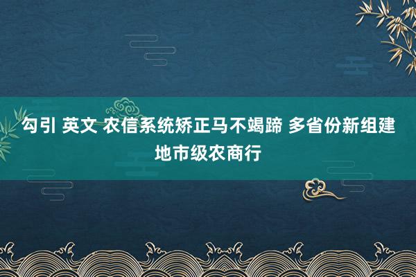 勾引 英文 农信系统矫正马不竭蹄 多省份新组建地市级农商行
