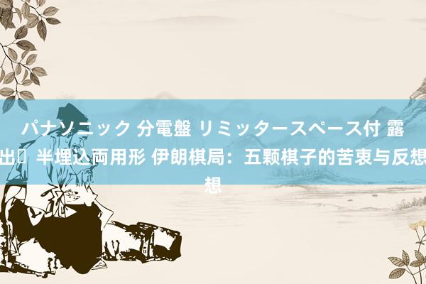 パナソニック 分電盤 リミッタースペース付 露出・半埋込両用形 伊朗棋局：五颗棋子的苦衷与反想
