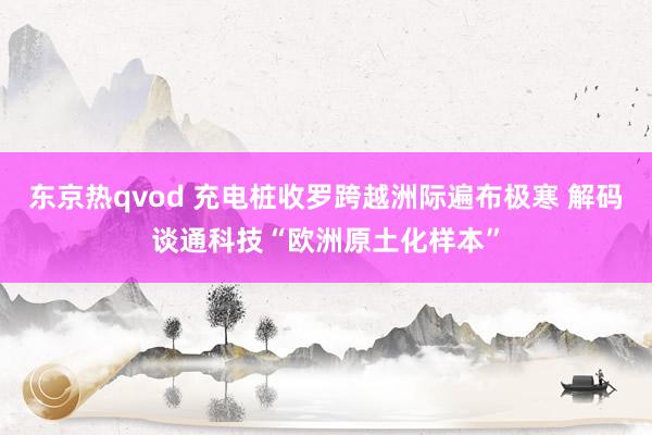东京热qvod 充电桩收罗跨越洲际遍布极寒 解码谈通科技“欧洲原土化样本”