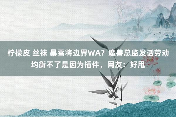 柠檬皮 丝袜 暴雪将边界WA？魔兽总监发话劳动均衡不了是因为插件，网友：好甩