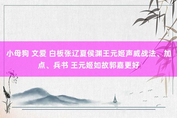 小母狗 文爱 白板张辽夏侯渊王元姬声威战法、加点、兵书 王元姬如故郭嘉更好