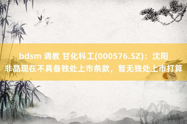 bdsm 调教 甘化科工(000576.SZ)：沈阳非晶现在不具备独处上市条款，暂无独处上市打算