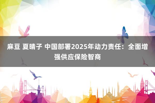 麻豆 夏晴子 中国部署2025年动力责任：全面增强供应保险智商