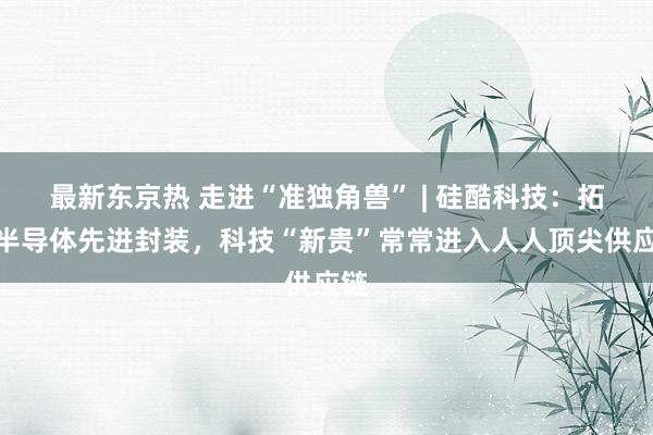 最新东京热 走进“准独角兽” | 硅酷科技：拓界半导体先进封装，科技“新贵”常常进入人人顶尖供应链