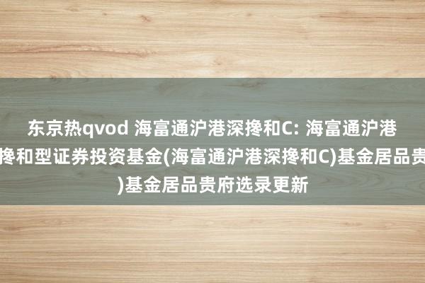 东京热qvod 海富通沪港深搀和C: 海富通沪港深天真成立搀和型证券投资基金(海富通沪港深搀和C)基金居品贵府选录更新