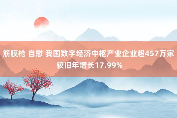 筋膜枪 自慰 我国数字经济中枢产业企业超457万家 较旧年增长17.99%