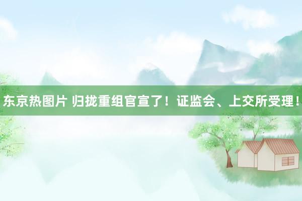东京热图片 归拢重组官宣了！证监会、上交所受理！
