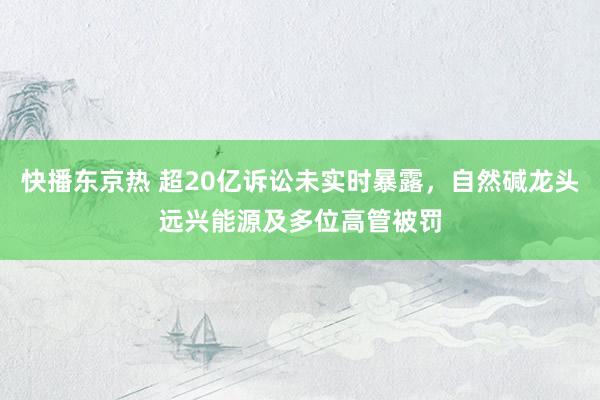 快播东京热 超20亿诉讼未实时暴露，自然碱龙头远兴能源及多位高管被罚
