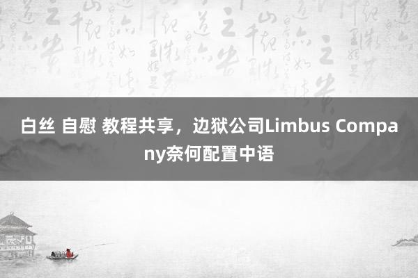 白丝 自慰 教程共享，边狱公司Limbus Company奈何配置中语