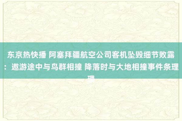 东京热快播 阿塞拜疆航空公司客机坠毁细节败露：遨游途中与鸟群相撞 降落时与大地相撞事件条理