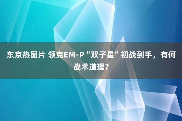 东京热图片 领克EM-P“双子星”初战到手，有何战术道理？