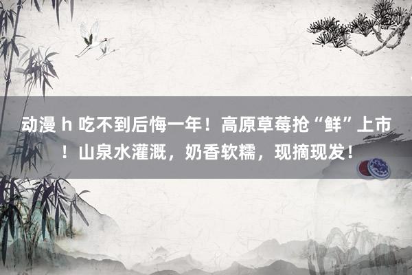动漫 h 吃不到后悔一年！高原草莓抢“鲜”上市！山泉水灌溉，奶香软糯，现摘现发！