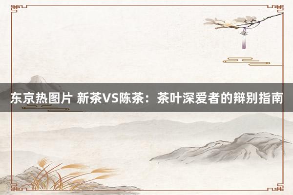 东京热图片 新茶VS陈茶：茶叶深爱者的辩别指南