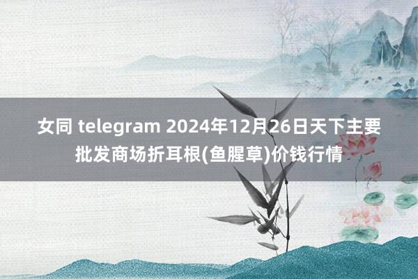 女同 telegram 2024年12月26日天下主要批发商场折耳根(鱼腥草)价钱行情