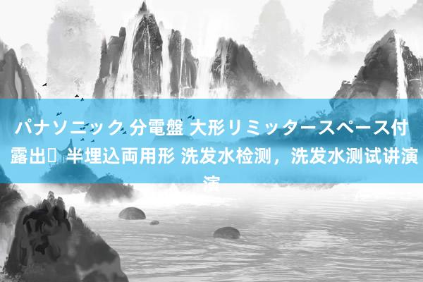 パナソニック 分電盤 大形リミッタースペース付 露出・半埋込両用形 洗发水检测，洗发水测试讲演