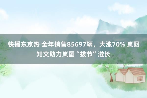 快播东京热 全年销售85697辆，大涨70% 岚图知交助力岚图“拔节”滋长