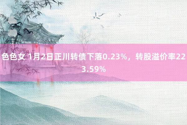 色色女 1月2日正川转债下落0.23%，转股溢价率223.59%