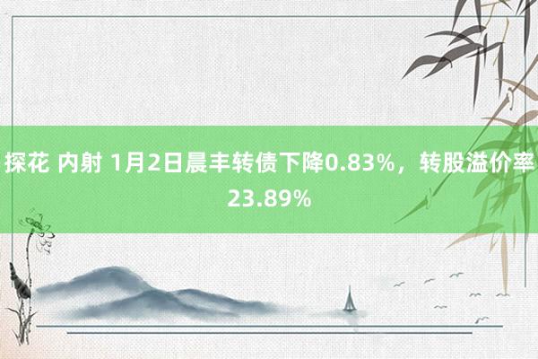 探花 内射 1月2日晨丰转债下降0.83%，转股溢价率23.89%