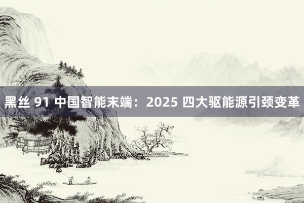 黑丝 91 中国智能末端：2025 四大驱能源引颈变革
