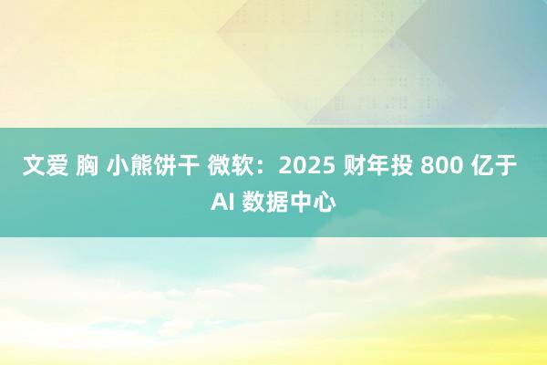 文爱 胸 小熊饼干 微软：2025 财年投 800 亿于 AI 数据中心