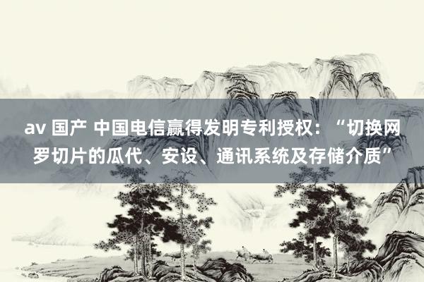 av 国产 中国电信赢得发明专利授权：“切换网罗切片的瓜代、安设、通讯系统及存储介质”