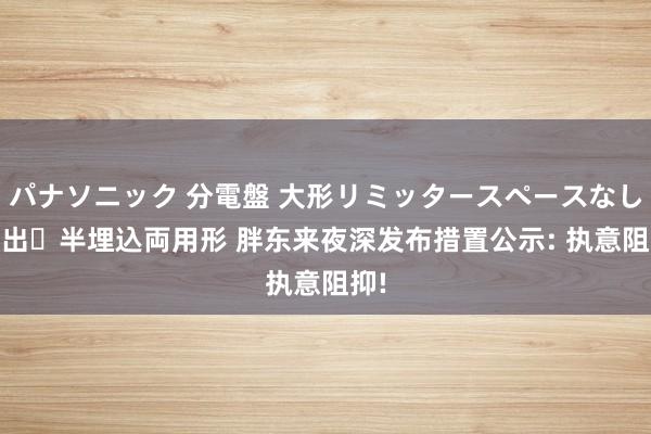 パナソニック 分電盤 大形リミッタースペースなし 露出・半埋込両用形 胖东来夜深发布措置公示: 执意阻抑!