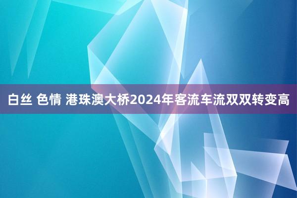 白丝 色情 港珠澳大桥2024年客流车流双双转变高