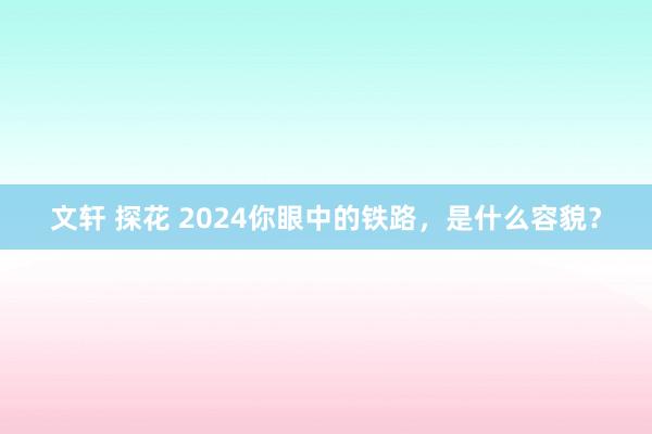 文轩 探花 2024你眼中的铁路，是什么容貌？