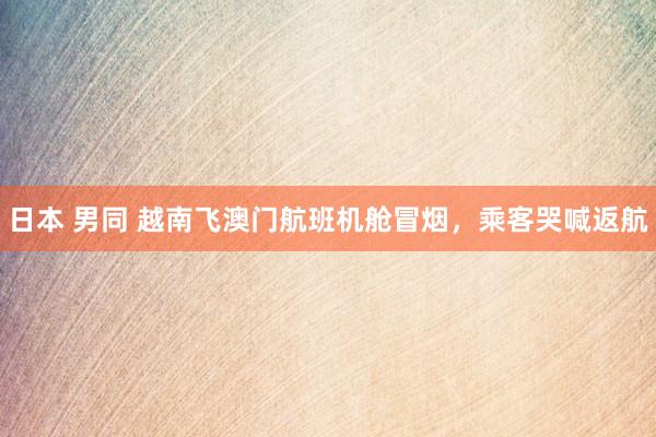 日本 男同 越南飞澳门航班机舱冒烟，乘客哭喊返航