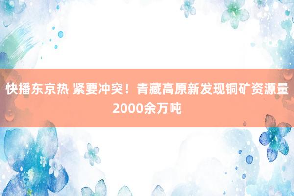 快播东京热 紧要冲突！青藏高原新发现铜矿资源量2000余万吨