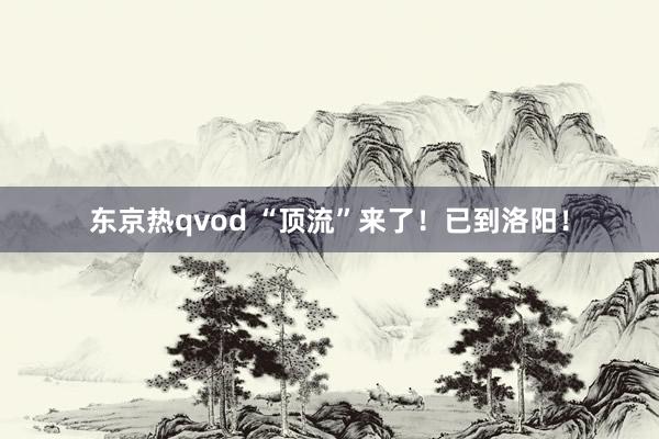 东京热qvod “顶流”来了!已到洛阳!