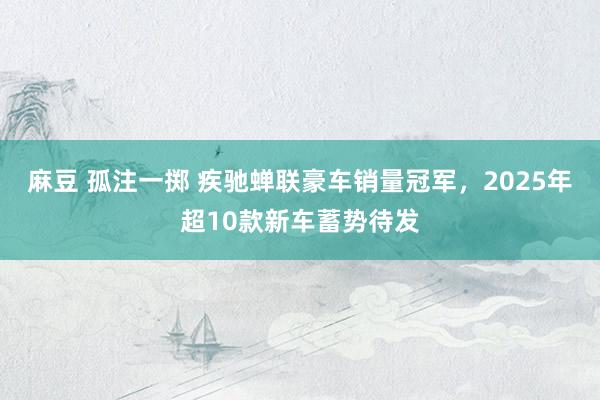 麻豆 孤注一掷 疾驰蝉联豪车销量冠军，2025年超10款新车蓄势待发