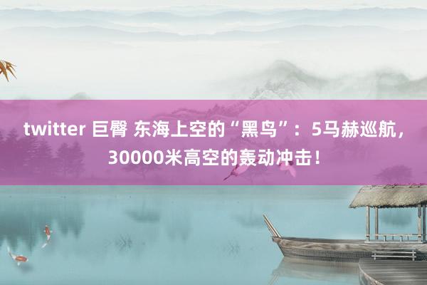 twitter 巨臀 东海上空的“黑鸟”：5马赫巡航，30000米高空的轰动冲击！