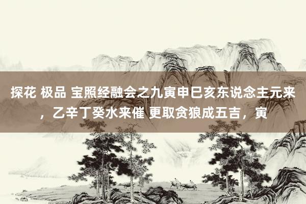 探花 极品 宝照经融会之九寅申巳亥东说念主元来,乙辛丁癸水来催 更取贪狼成五吉,寅