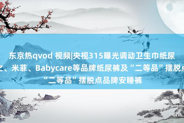 东京热qvod 视频|央视315曝光调动卫生巾纸尿裤：波及好之、米菲、Babycare等品牌纸尿裤及“二等品”摆脱点品牌安睡裤
